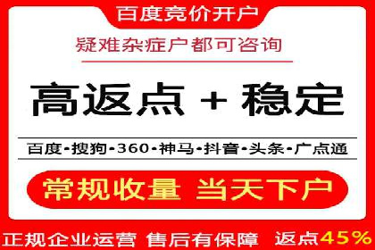 企业SEM服务实战案例解析
